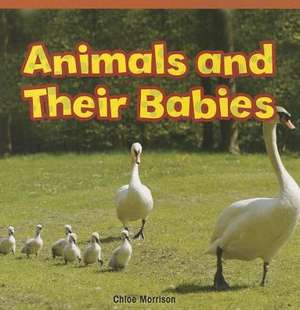 Animals and Their Babies de Chloe Morrison