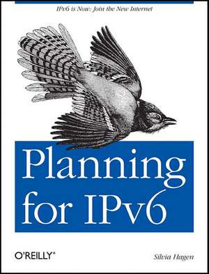 Planning for IPv6 de Silvia Hagen