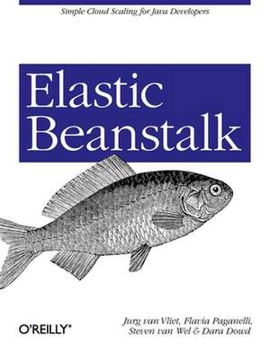 Elastic Beanstalk de Jurg Van Vliet