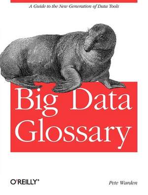 Big Data Glossary de Pete Warden