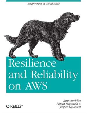 Resilience and Reliability on AWS de Jurg Van Vliet