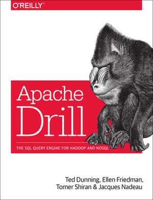 Apache Drill de Ted Dunning