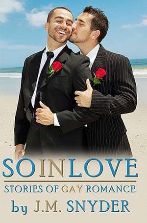 So in Love: Stories of Gay Romance de J. M. Snyder