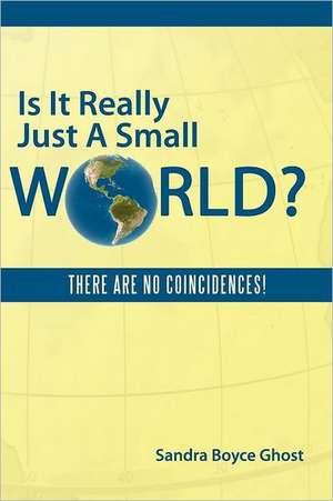 Is It Really Just a Small World? de Sandra Boyce Ghost