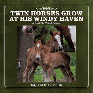 Twin Horses Grow at His Windy Haven de Edy And Drew Finish