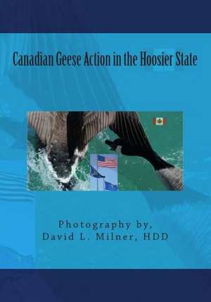 Canadian Geese Action in the Hoosier State: The Fun and Fast Way to Play Your Favourite Songs de Milner Hdd, David L.