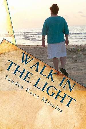 Walk in the Light: From a Layman's Point of View de Sandra Rone Mireles