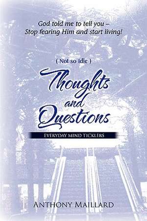 (Not So Idle) Thoughts and Questions de Anthony Maillard