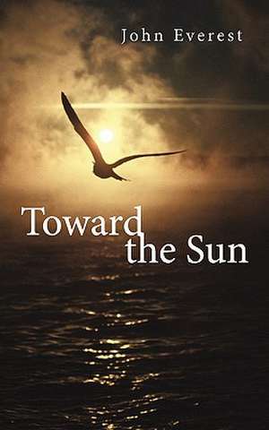 Toward the Sun de John Everest