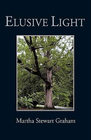 Elusive Light de Martha Stewart Graham