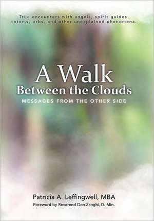 A Walk Between the Clouds: Messages from the Other Side de Patricia A. Leffingwell