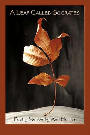 A Leaf Called Socrates de Ann Holmes