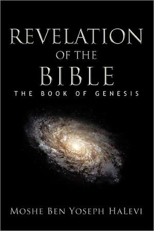 Revelation of the Bible de Moshe Mazin