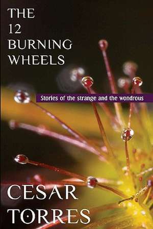 The 12 Burning Wheels de Cesar Torres