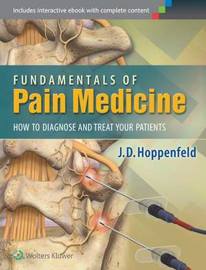 Fundamentals of Pain Medicine