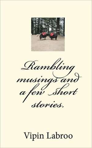 Rambling Musings and a Few Short Stories.: A Collection of Illustrations and Other Art Work of Satine Phoenix de Vipin Labroo