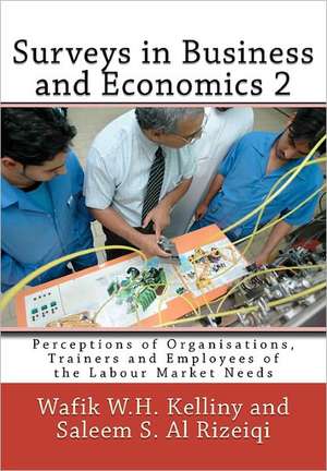 Surveys in Business and Economics 2: Perceptions of Organisations, Trainers and Employees of the Labour Market Needs de Wafik W. H. Kelliny