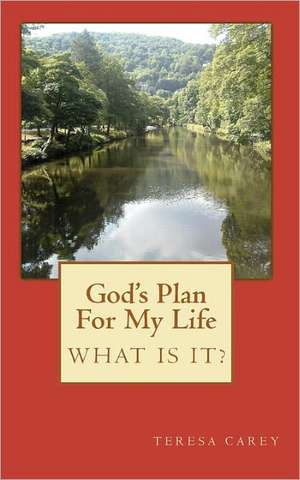 God's Plan for My Life - What Is It?: The Everyday Hunter's Guide to Cutting Through the Bull de Teresa Carey