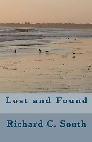 Lost and Found de Richard C. South