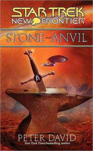 Stone and Anvil de Peter David