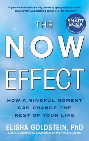 The Now Effect: How a Mindful Moment Can Change the Rest of Your Life de Elisha Goldstein Ph.D.