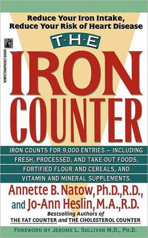 The Iron Counter de Annette B. Natow