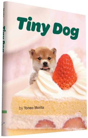 Tiny Dog de Yoneo Morita