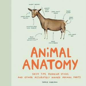 Animal Anatomy de Sophie Corrigan