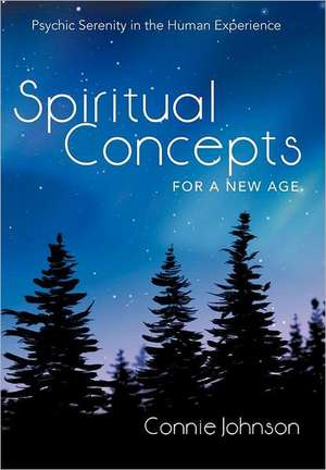 Spiritual Concepts for a New Age de Connie Johnson