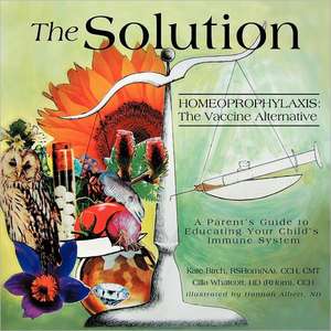 The Solution de Kate Birch