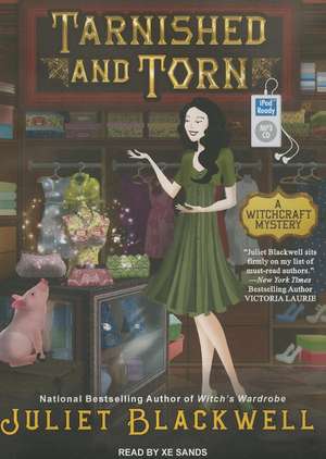 Tarnished and Torn de Sands Xe