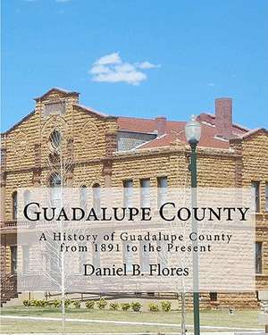 Guadalupe County de Daniel B. Flores