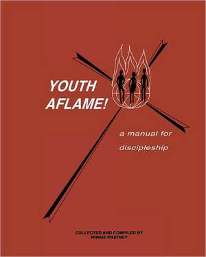 Youth Aflame! de Winkie Pratney