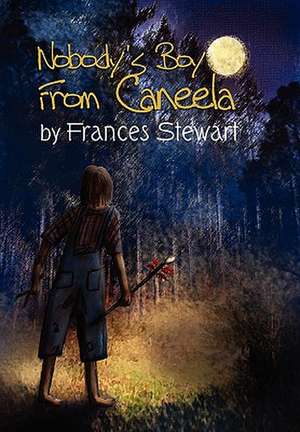 Nobody's Boy from Caneela de Frances Stewart