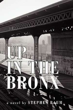 Up in the Bronx de Stephen Baum