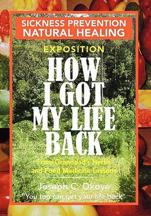 How I Got My Life Back de Joseph C. Okoye