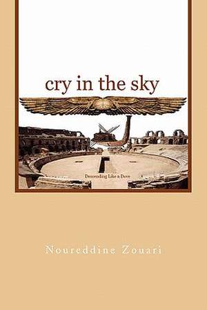 Cry in the Sky de Noureddine Zouari