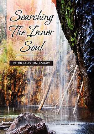 Searching the Inner Soul de Patricia Astuno-Shaw