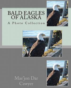 Bald Eagles of Alaska de Mae'jon Dar Cawyer