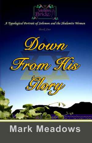 Down from His Glory de Mark Meadows