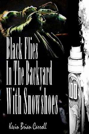 Black Flies in the Backyard with Snowshoes de Kevin Brian Carroll