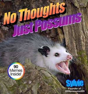No Thoughts Just Possums de Sylvie