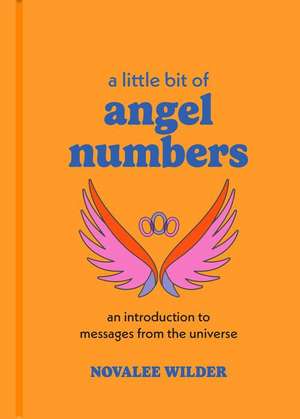 A Little Bit of Angel Numbers de Novalee Wilder