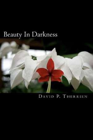 Beauty in Darkness de David P. Therrien