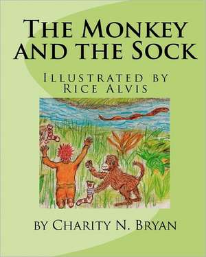 The Monkey and the Sock de Charity N. Bryan