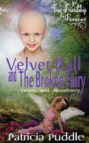 Velvet Ball and the Broken Fairy de Patricia Puddle