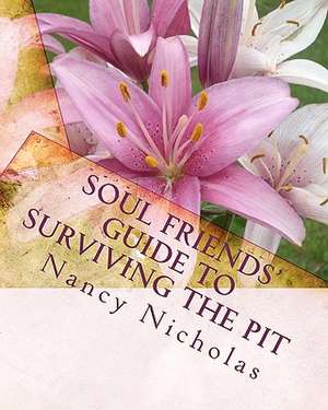 Soul Friends' Guide to Surviving the Pit de Nancy Nicholas