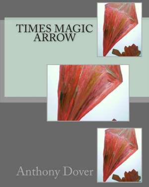 Times Magic Arrow de Anthony Dover