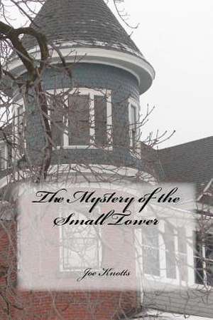 The Mystery of the Small Tower de Joe Knotts