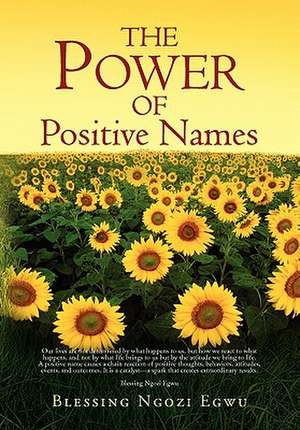 The Power of Positive Names de Blessing Ngozi Egwu